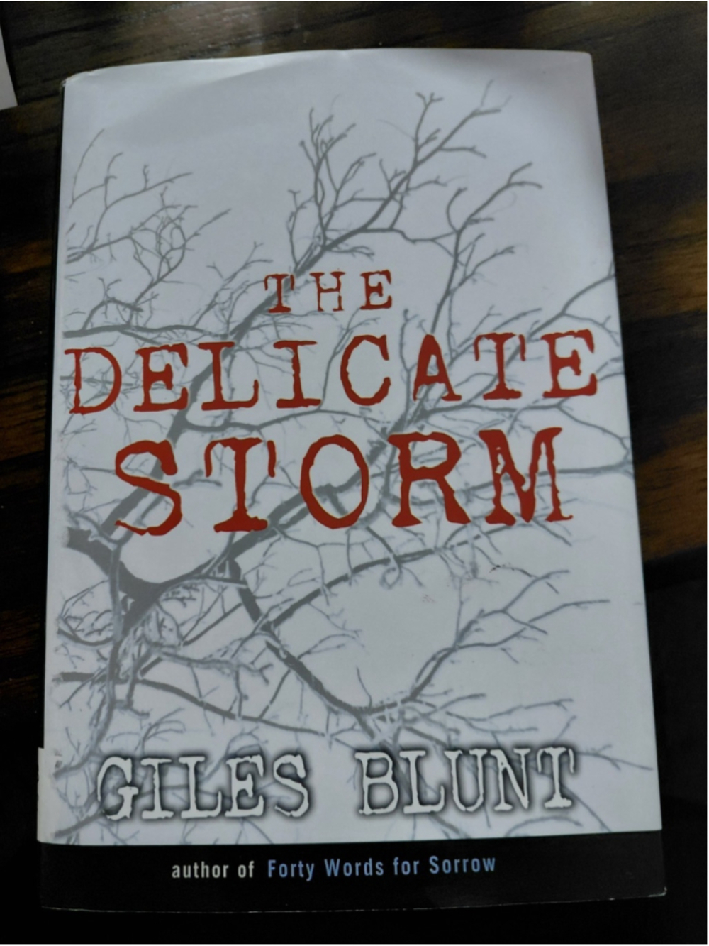 The Delicate Storm - Hardcover By Blunt, Giles - New Thriller Suspense Mystery